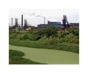 China halts chemical plant following riots
