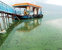 One woman's fight against pollution in China