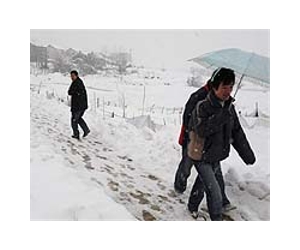Extreme winter spells disaster for Mongolia