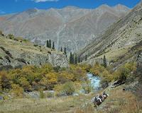 Migration steals the magic from China's mountain shamans
