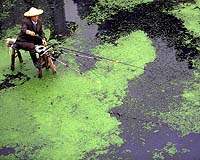 Japan to offer environmental technology to Africa, Asia: report