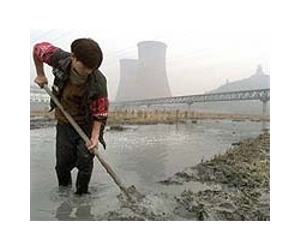 Five jailed for polluting Chinese city's water: report