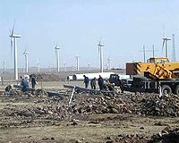 China urged to take the lead in wind power
