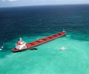 Coal port plan will kill Great Barrier Reef: activists