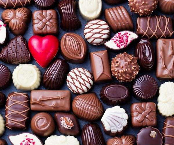 How chocolate could counter climate change