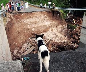 Karl claims two lives, dissipates over Mexico