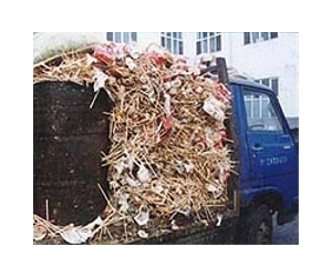 Hong Kong struggles to combat waste crisis