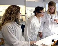 New material steals oxygen from air