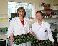 Incremental discovery may one day lead to photosynthetic breakthrough