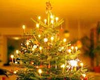 Canadian Christmas tree exports to rise: minister