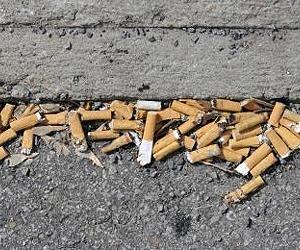 Recycling Tiny Trash Cigarette Butts