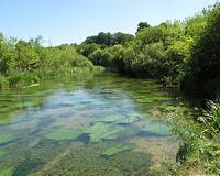 Not so dirty: Methane fuels life in pristine chalk rivers