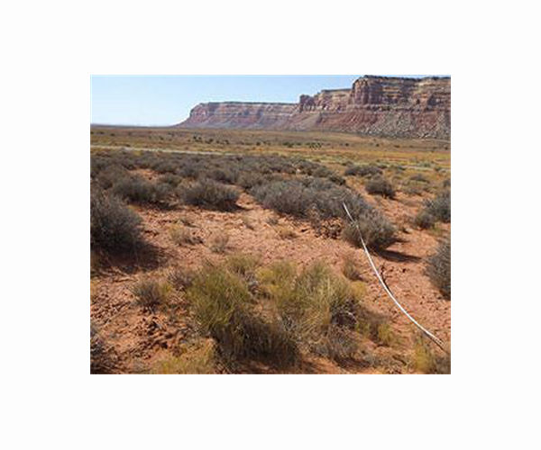 Study: Climate change isn't causing drylands to get drier
