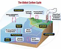 G8 leaders agree on halving emissions by 2050