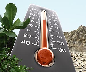 Nations set up global climate fund