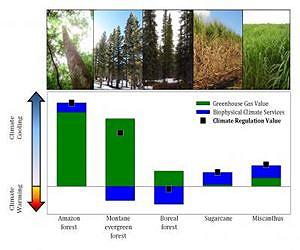 Team finds a better way to gauge the climate costs of land use changes