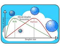 Droplet clustering inside clouds confirmed by airborne digital holography