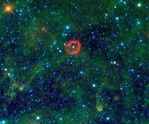 Jumbo Jellyfish Or Massive Star
