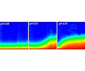 Instant Acid Method Offers New Insight Into Nanoparticle Dispersal
