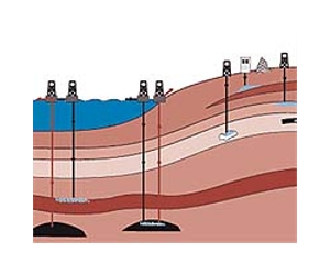 Microbes may be engineered to help trap excess CO2 underground