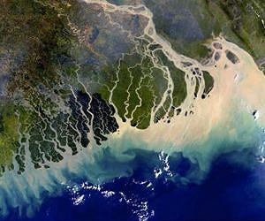 Industrial age helps some coastal regions capture carbon dioxide