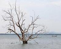 Sea level rise in 20th century was fastest in 3,000 years, Rutgers-led study finds