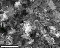 Laser-burned graphene gains metallic powers