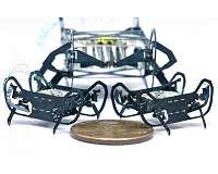Next-generation cockroach-inspired robot is small but mighty