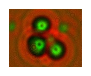 Scientists Focus on Light Ions for Fast Ignition of Fusion Fuels