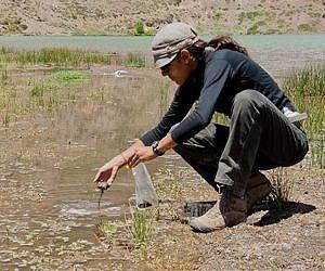 A Look below the Surface At Laguna Negra