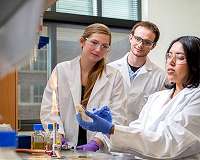 Light-activated nanoparticles can supercharge current antibiotics