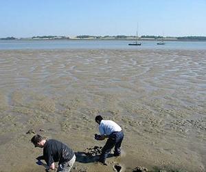 Distribution of British soil bacteria mapped for the first time
