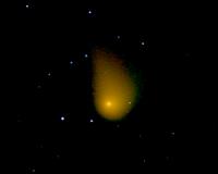 NEOWISE observes carbon gases in comets