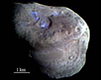 Ground-Based Observations Support NASA Comet Missions