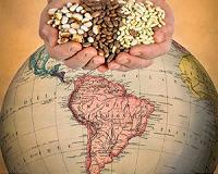 Discovery of heat-tolerant beans could save 'meat of the poor' from global warming