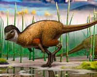 Dinosaur tracks in Bolivia threatened with extinction