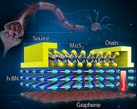 Memory for future wearable electronics