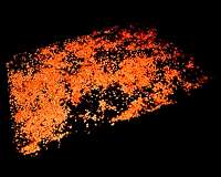 NASA Takes First 3-D Microscopic Image on the Space Station