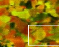Modeling microstructures in polycrystalline materials