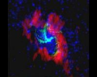 Inside the Milky Way