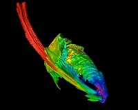 Treasure hunting in archive data reveals clues about black holes' diet