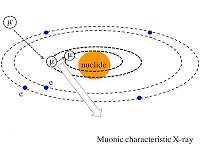 Development on muon beam analysis of organic matter in samples from space