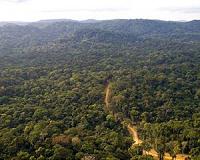 Climate program will protect 9 million hectares of Congo forest