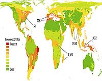 Biodiversity loss costs six percent of world income: report