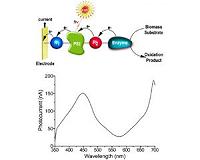 Converting solar energy into electric power via photobioelectrochemical cells