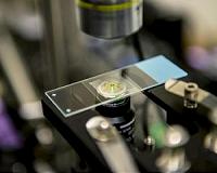 UW team refrigerates liquids with a laser for the first time