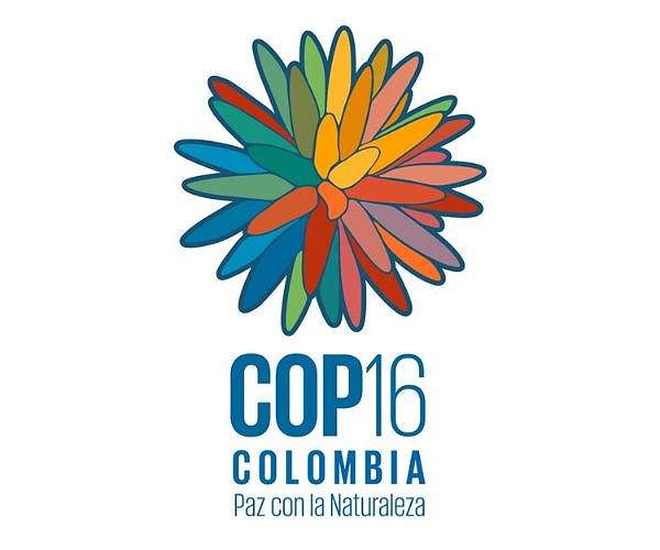 COP16 biodiversity finance deal for 'early 2025': presidency