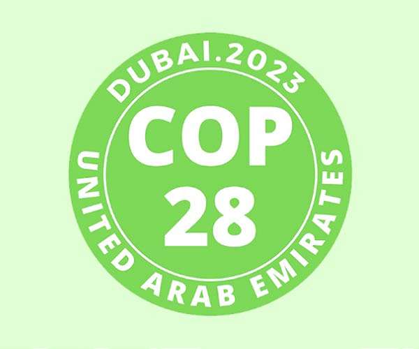 COP28: Trying to save the planet in 'Disneyworld' crowds