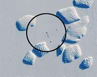 Discovering new penguin colonies from space