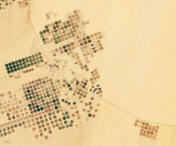 Parched Egypt struggles to contain water loss